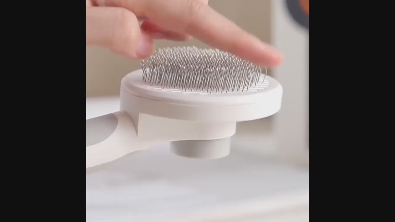 Pet Hair Cleaning Brush